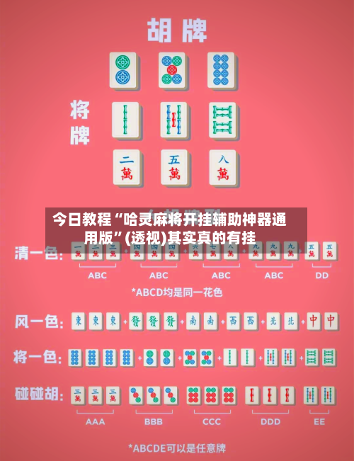 今日教程“哈灵麻将开挂辅助神器通用版	”(透视)其实真的有挂-第2张图片