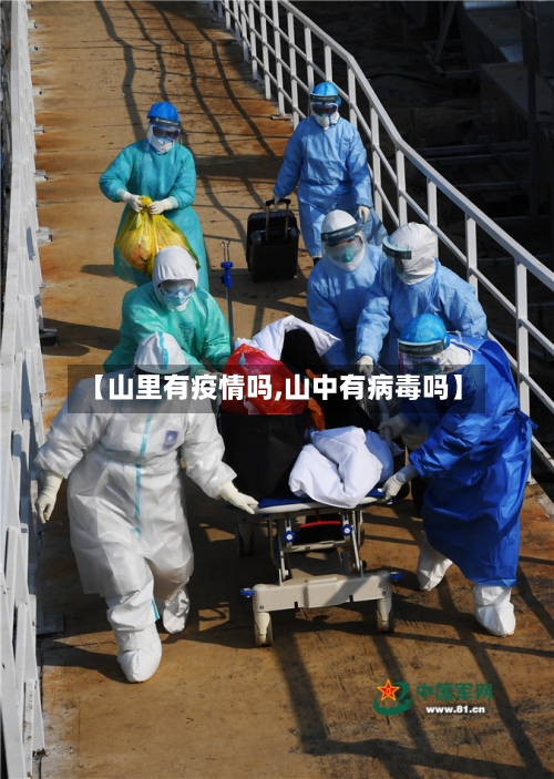 【山里有疫情吗,山中有病毒吗】
