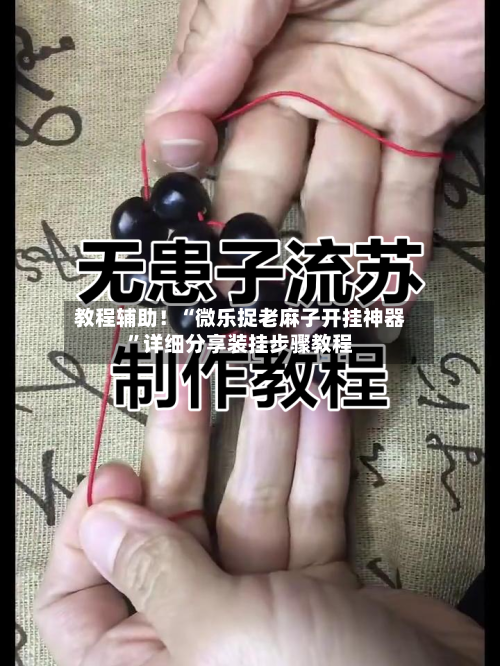 教程辅助！“微乐捉老麻子开挂神器”详细分享装挂步骤教程-第3张图片