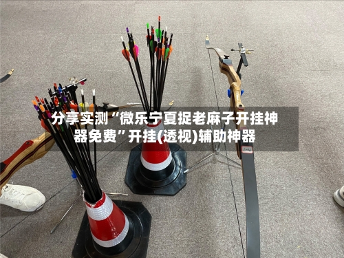 分享实测“微乐宁夏捉老麻子开挂神器免费”开挂(透视)辅助神器