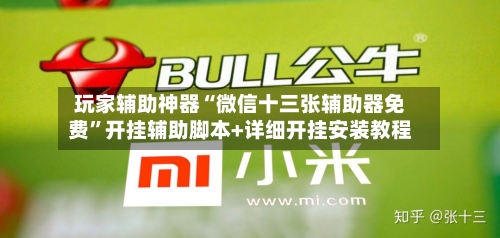 玩家辅助神器“微信十三张辅助器免费”开挂辅助脚本+详细开挂安装教程-第3张图片