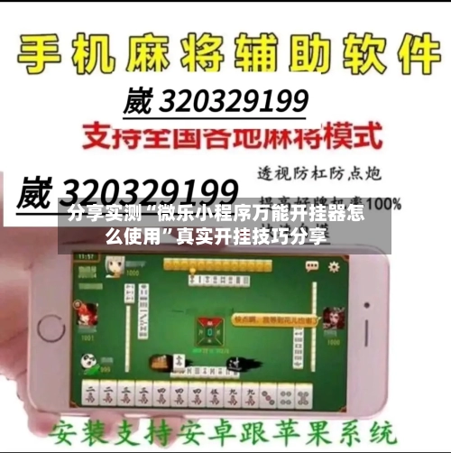 分享实测“微乐小程序万能开挂器怎么使用”真实开挂技巧分享-第2张图片