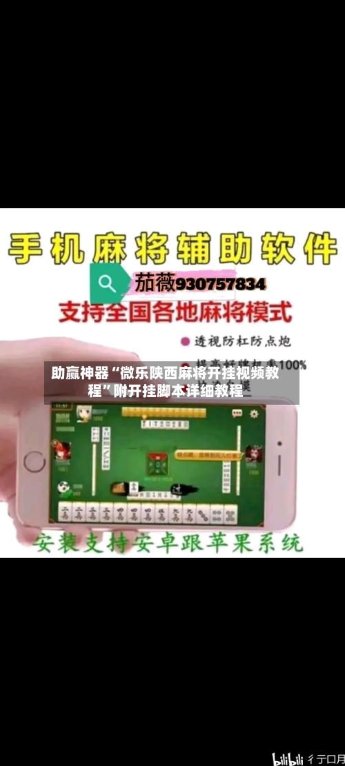 助赢神器“微乐陕西麻将开挂视频教程	”附开挂脚本详细教程-第2张图片