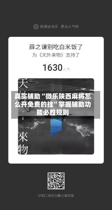 真实辅助“微乐陕西麻将怎么开免费的挂”掌握辅助功能必胜规则-第3张图片