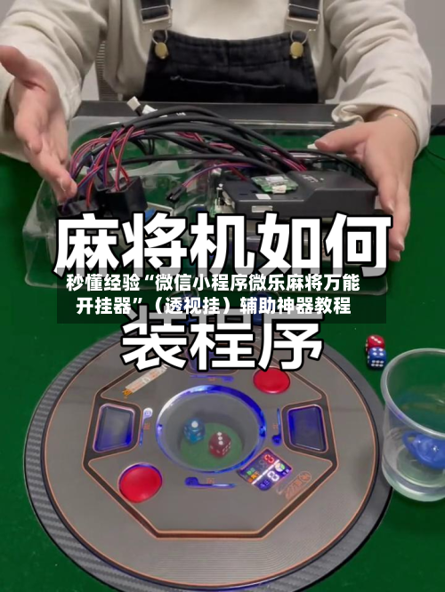 秒懂经验“微信小程序微乐麻将万能开挂器”（透视挂）辅助神器教程-第3张图片