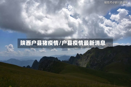 陕西户县猪疫情/户县疫情最新消息