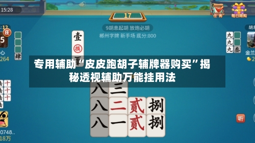专用辅助“皮皮跑胡子辅牌器购买”揭秘透视辅助万能挂用法-第2张图片
