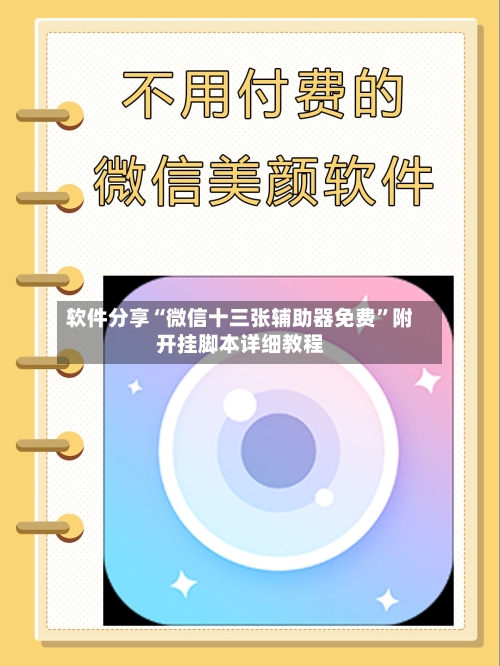 软件分享“微信十三张辅助器免费”附开挂脚本详细教程-第2张图片