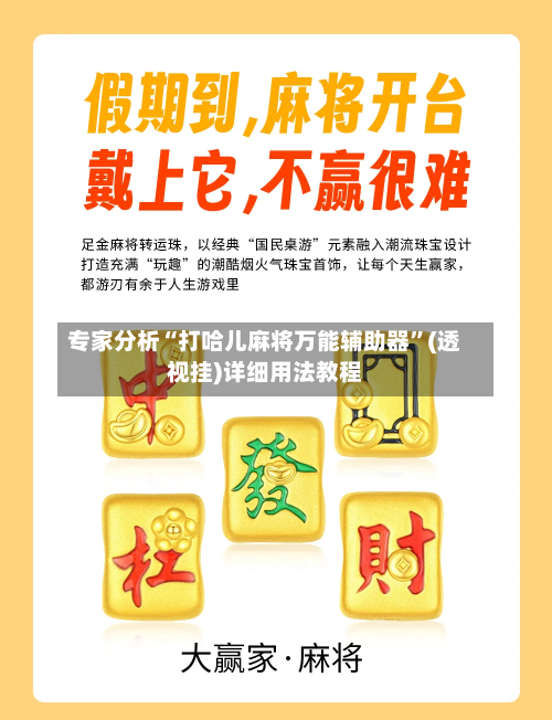 专家分析“打哈儿麻将万能辅助器”(透视挂)详细用法教程-第2张图片