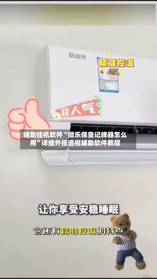 辅助挂机软件“微乐保皇记牌器怎么用”详细外挂透视辅助软件教程-第2张图片