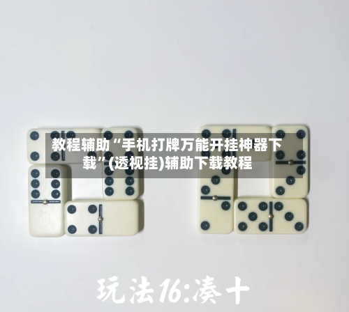 教程辅助“手机打牌万能开挂神器下载	”(透视挂)辅助下载教程-第2张图片