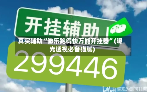 真实辅助“微乐跑得快万能开挂器”(曝光透视必备猫腻)-第3张图片