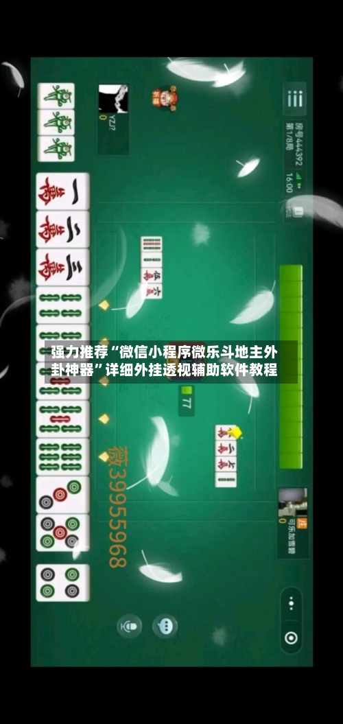 强力推荐“微信小程序微乐斗地主外卦神器”详细外挂透视辅助软件教程-第2张图片