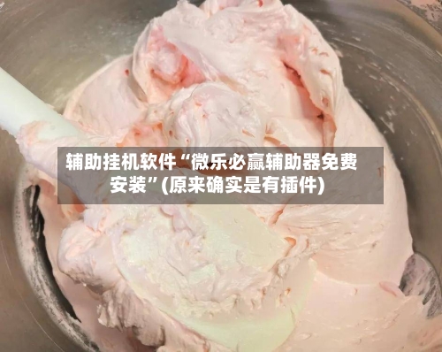 辅助挂机软件“微乐必赢辅助器免费安装”(原来确实是有插件)-第3张图片