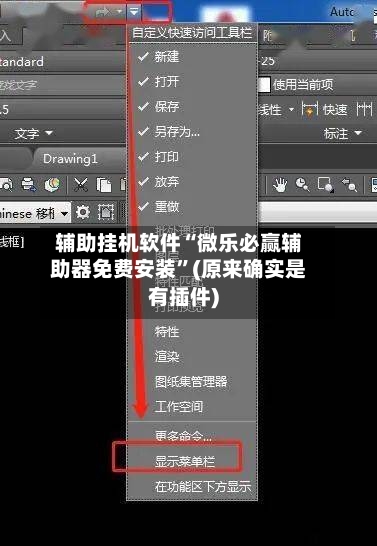 辅助挂机软件“微乐必赢辅助器免费安装”(原来确实是有插件)