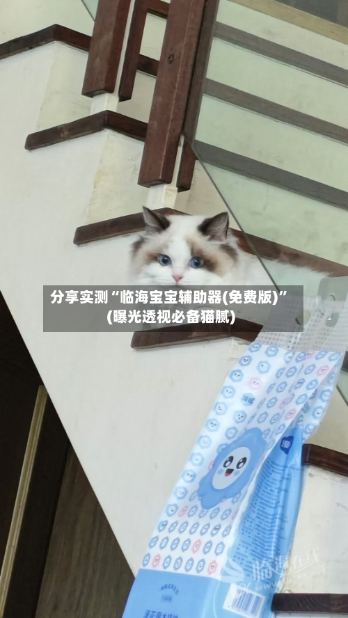 分享实测“临海宝宝辅助器(免费版)”(曝光透视必备猫腻)-第2张图片