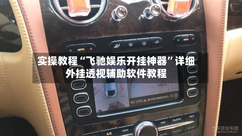 实操教程“飞驰娱乐开挂神器”详细外挂透视辅助软件教程-第3张图片