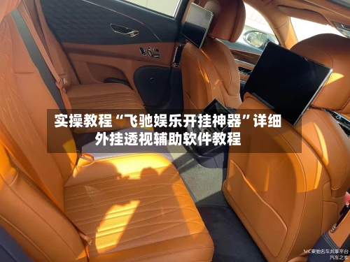 实操教程“飞驰娱乐开挂神器	”详细外挂透视辅助软件教程-第2张图片