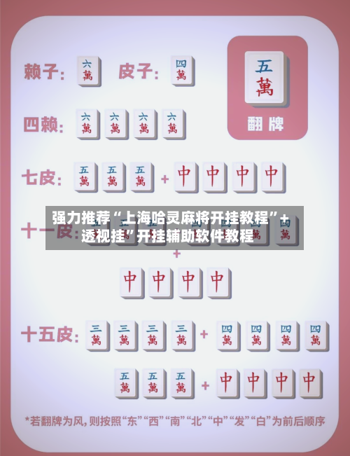 强力推荐“上海哈灵麻将开挂教程”+透视挂	”开挂辅助软件教程-第2张图片