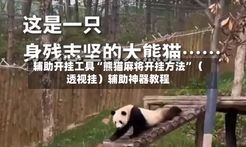 辅助开挂工具“熊猫麻将开挂方法”（透视挂）辅助神器教程-第2张图片