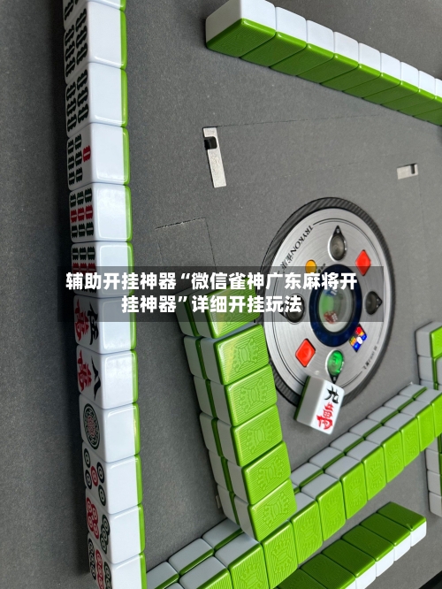 辅助开挂神器“微信雀神广东麻将开挂神器”详细开挂玩法-第2张图片