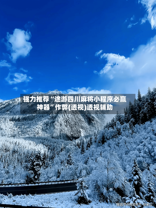 强力推荐“途游四川麻将小程序必赢神器”作弊(透视)透视辅助-第2张图片