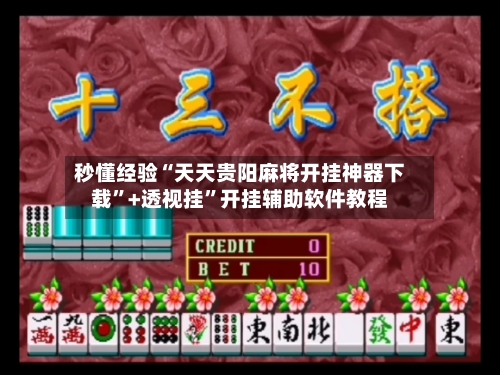 秒懂经验“天天贵阳麻将开挂神器下载”+透视挂	”开挂辅助软件教程-第2张图片