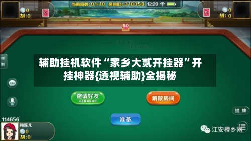 辅助挂机软件“家乡大贰开挂器	”开挂神器{透视辅助}全揭秘-第2张图片