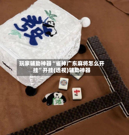 玩家辅助神器“雀神广东麻将怎么开挂”开挂(透视)辅助神器