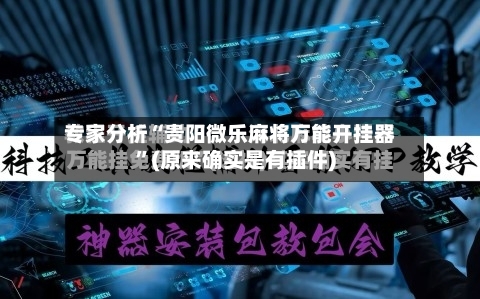 专家分析“贵阳微乐麻将万能开挂器”(原来确实是有插件)-第2张图片