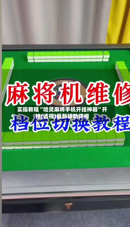 实操教程“哈灵麻将手机开挂神器	”开挂(透视)最新辅助详细-第2张图片