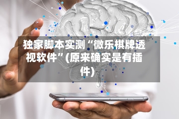 独家脚本实测“微乐棋牌透视软件	”(原来确实是有插件)-第3张图片