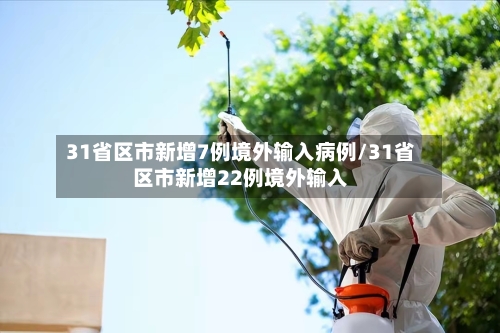 31省区市新增7例境外输入病例/31省区市新增22例境外输入-第2张图片
