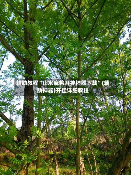 辅助教程“山水麻将开挂神器下载”(辅助神器)开挂详细教程