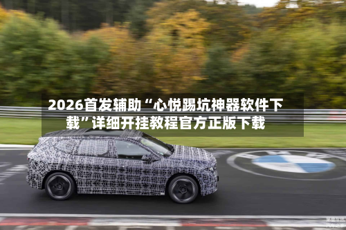 2026首发辅助“心悦踢坑神器软件下载	”详细开挂教程官方正版下载-第2张图片