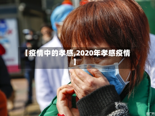 【疫情中的孝感,2020年孝感疫情】-第2张图片