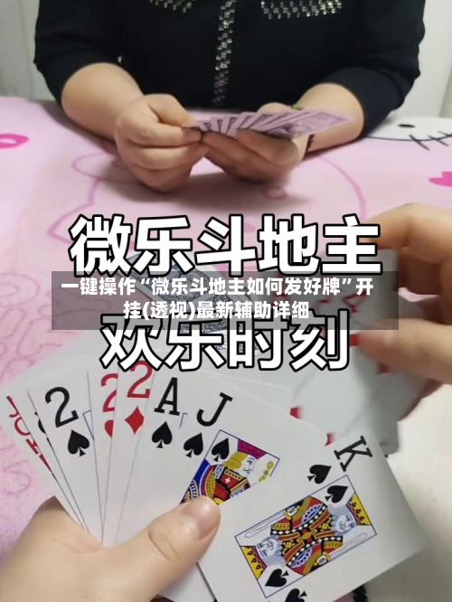 一键操作“微乐斗地主如何发好牌”开挂(透视)最新辅助详细-第2张图片