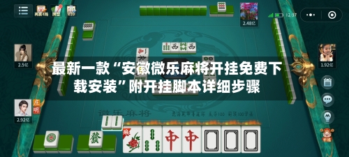 最新一款“安徽微乐麻将开挂免费下载安装	”附开挂脚本详细步骤-第3张图片