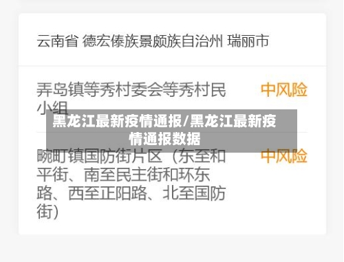 黑龙江最新疫情通报/黑龙江最新疫情通报数据-第2张图片