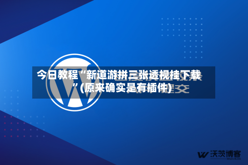 今日教程“新道游拼三张透视挂下载	”(原来确实是有插件)-第2张图片