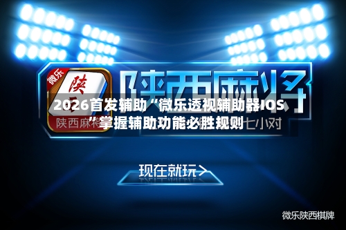 2026首发辅助“微乐透视辅助器IOS”掌握辅助功能必胜规则-第2张图片