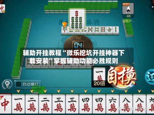 辅助开挂教程“微乐挖坑开挂神器下载安装	”掌握辅助功能必胜规则-第2张图片
