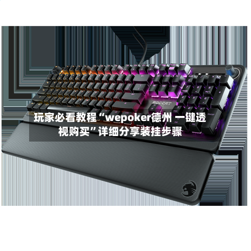 玩家必看教程“wepoker德州 一键透视购买”详细分享装挂步骤-第3张图片