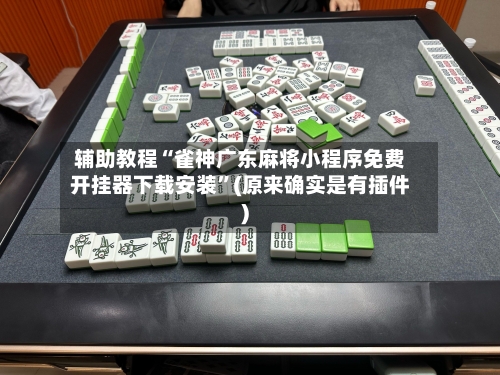 辅助教程“雀神广东麻将小程序免费开挂器下载安装”(原来确实是有插件)-第3张图片