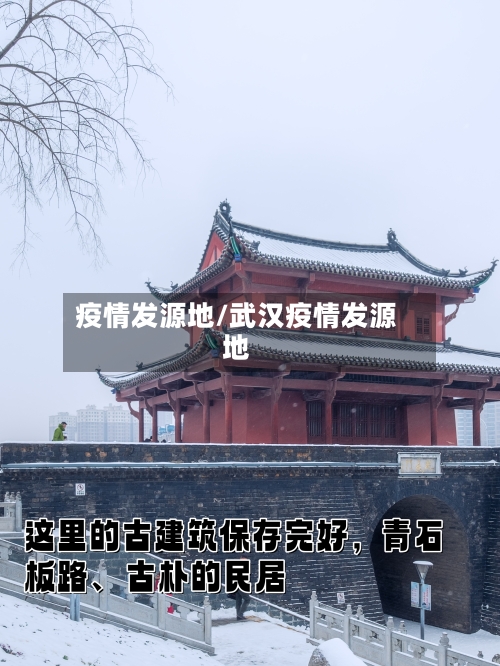 疫情发源地/武汉疫情发源地