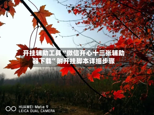 开挂辅助工具“微信开心十三张辅助器下载”附开挂脚本详细步骤-第2张图片