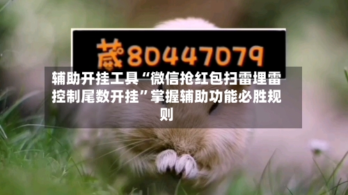 辅助开挂工具“微信抢红包扫雷埋雷控制尾数开挂	”掌握辅助功能必胜规则-第2张图片