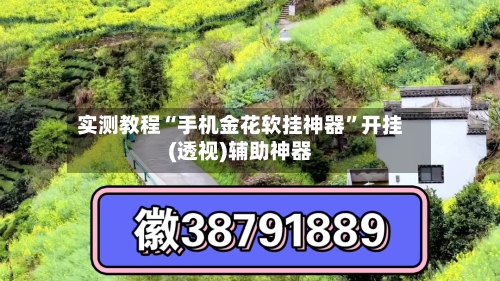 实测教程“手机金花软挂神器”开挂(透视)辅助神器-第3张图片