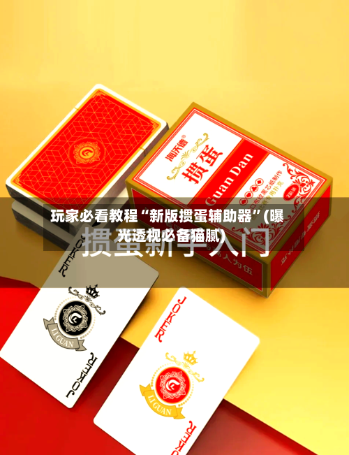 玩家必看教程“新版掼蛋辅助器”(曝光透视必备猫腻)