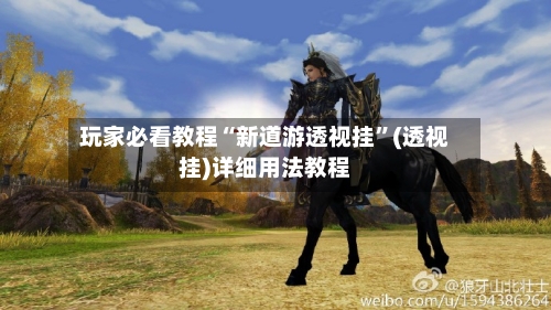 玩家必看教程“新道游透视挂”(透视挂)详细用法教程-第1张图片